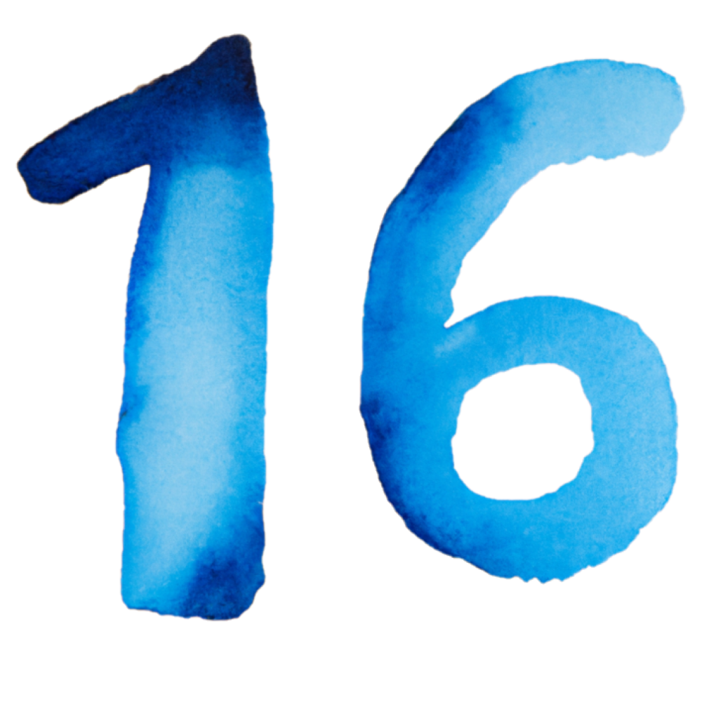 Number sixteen